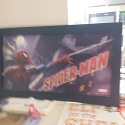 Spider Man Picture Frame 