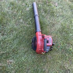 Leaf Blower Toro T25