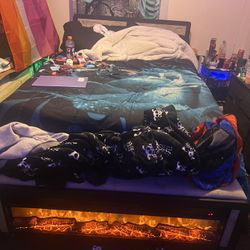 Full Size Bed With Fire Place