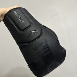 EVERLAST ELITE 2 PRO