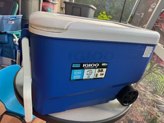 Igloo 38 qt cooler