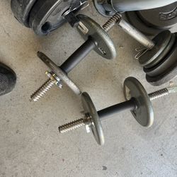 Dumbbells 