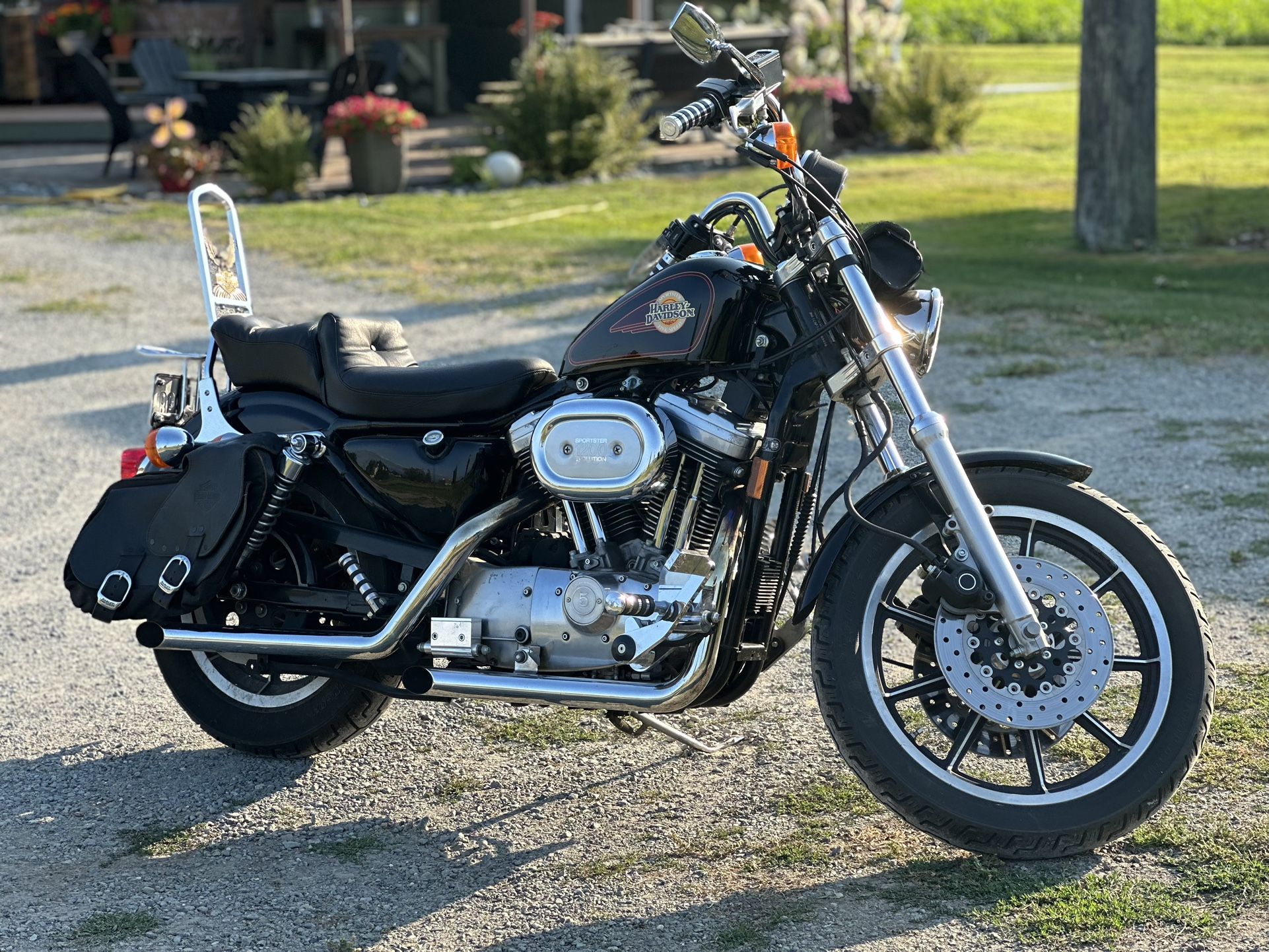 1994  Harley Davidson Sportster