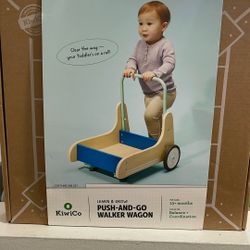 Push And Go Walker 