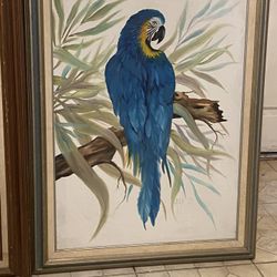 Paintings