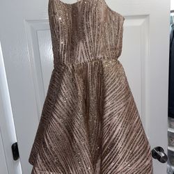 Rose Gold Dress 