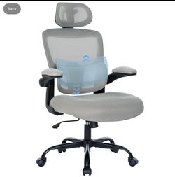 Ergonomic Mesh Office Chair with Lumbar Support- Adjustable High Back Desk Chair with Flip-up Arms- Comfy Home Office Computer Chairs#2489TT2
