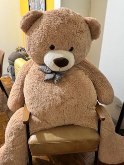 Big teddy bear