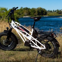 Gimini Pro X Duel Motor Duel Battery For Trade Only 