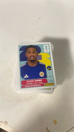 World Cup stickers panini