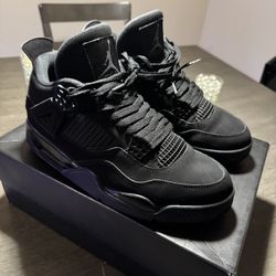 Jordan 4 Black Cat 2029