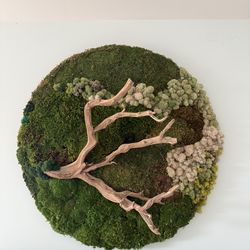 Large Preserved Moss Wall Decor