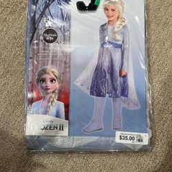 Elsa Costume 