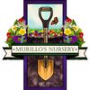 MURILLOS NURSERY 