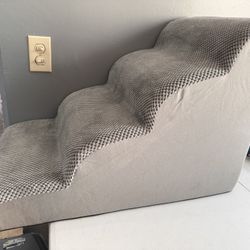 Dog Or Cat Steps 