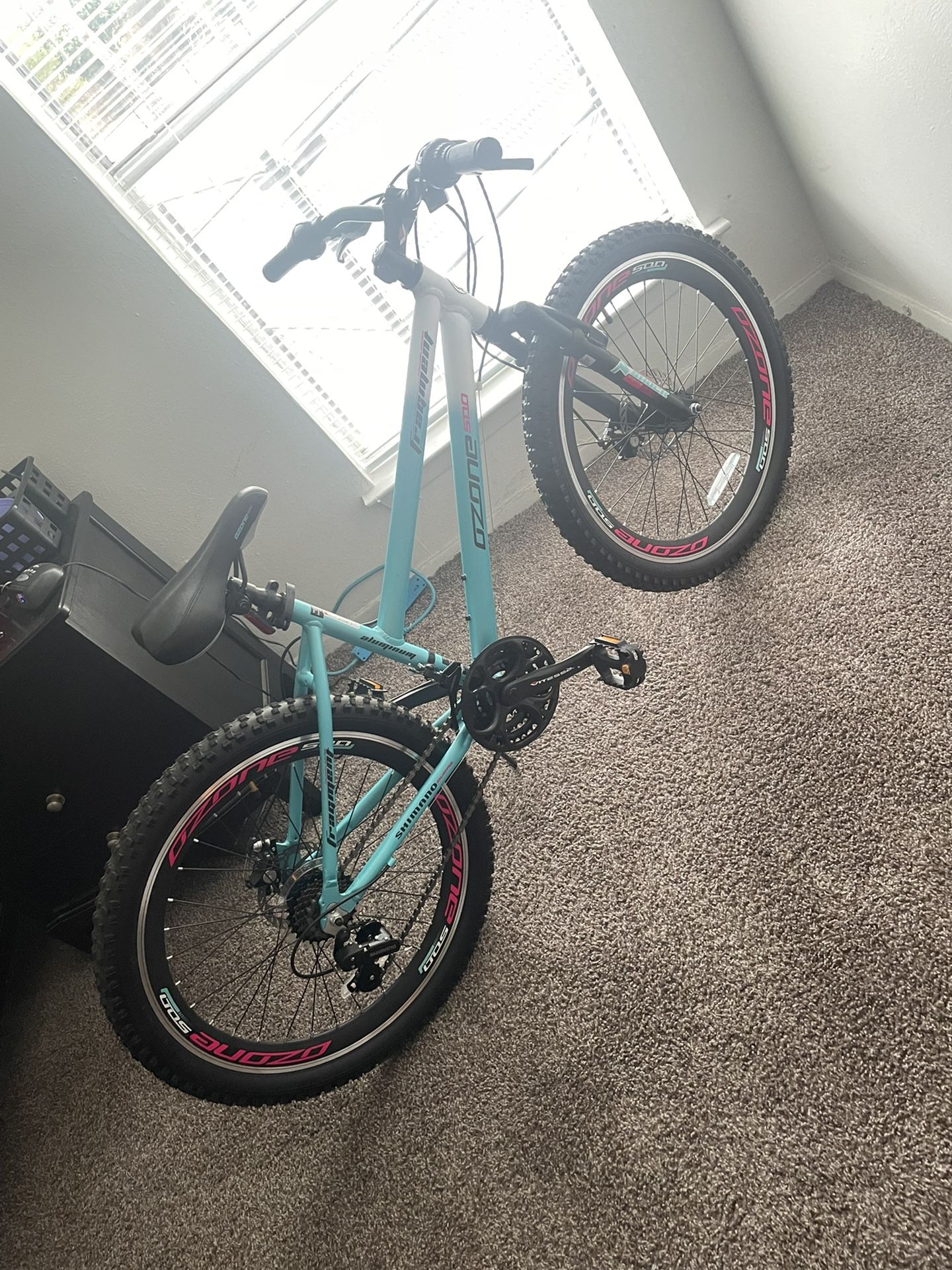 Adult Bike 24”   (OBO)