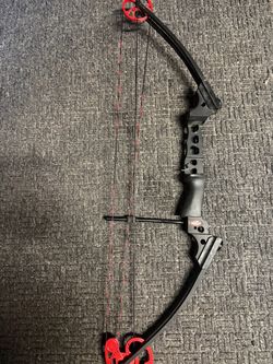 Compound Bow Genesis
