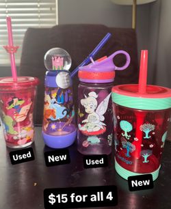 Princess Water Bottles