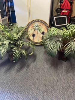 Palm plate and two palm plants