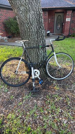 Fixed gear bike