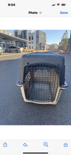Dog Kennel