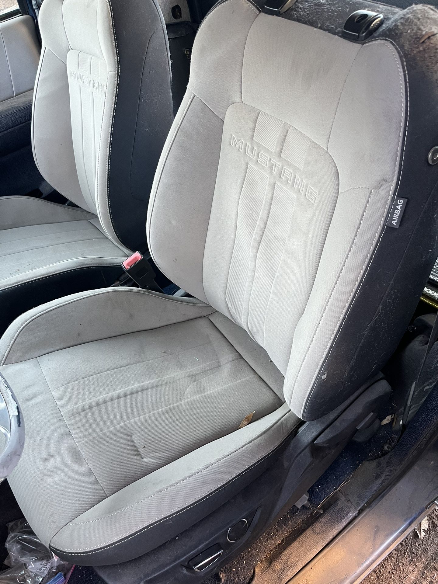 Mustang Coyote Front Seats
