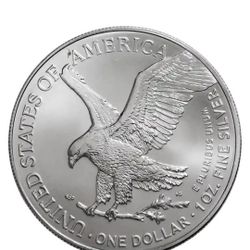 1oz American Eagle Coin