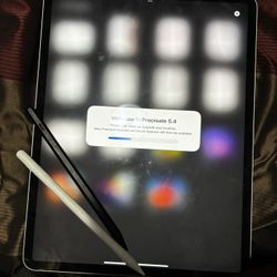 iPad 12.9in 