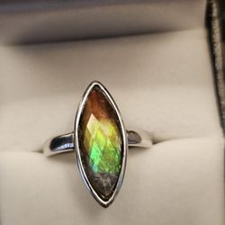 14kt White Gold With Rare Ammolite Stone