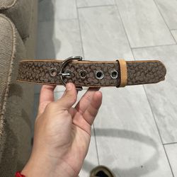 Coach Belt