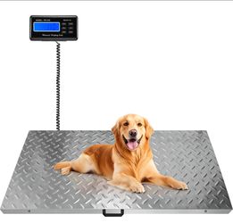 Electronic Scale