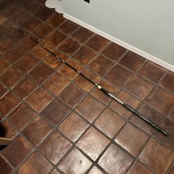 Fishing Rod