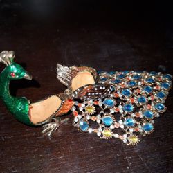 Peacock