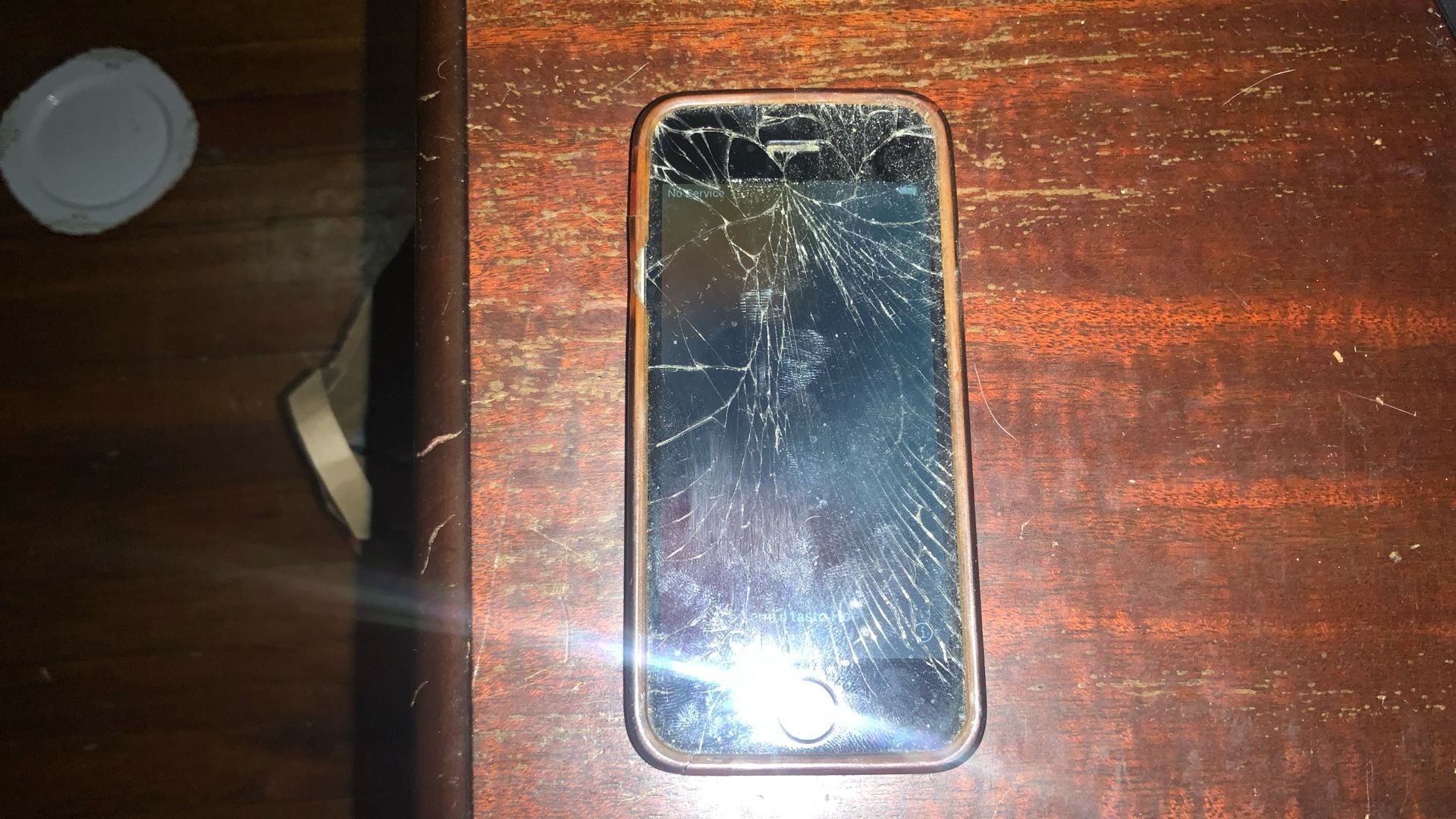 iPhone SE 1st Generation