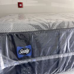 Sealy Queen Mattresses