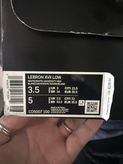 LeBron XVII LOW