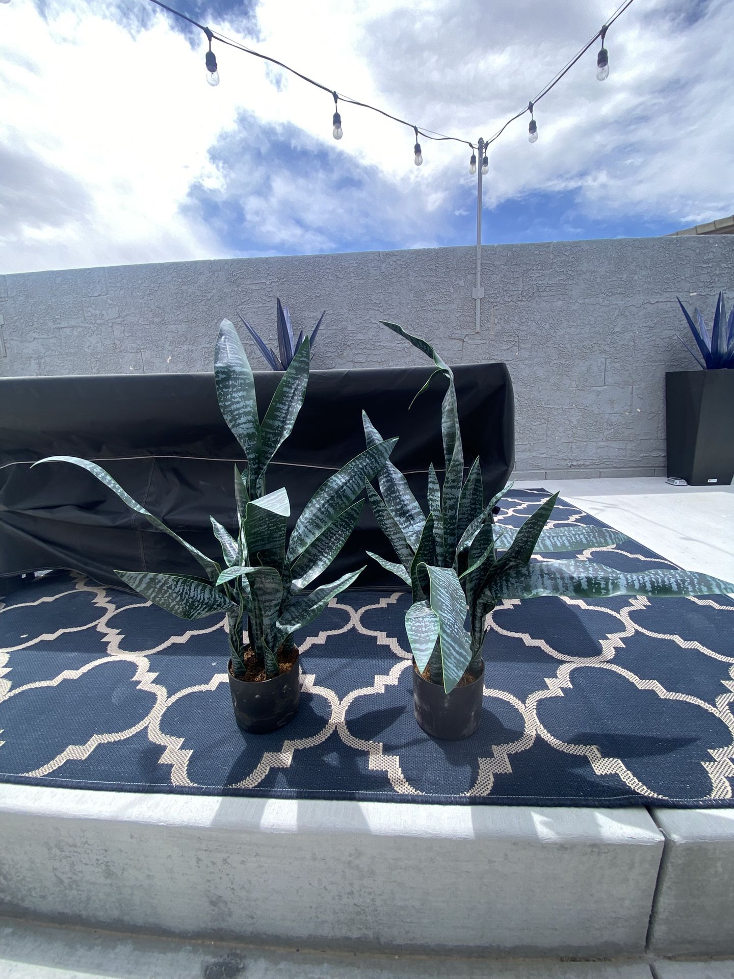 Fake Snake Plant 2x - 3FT Tall