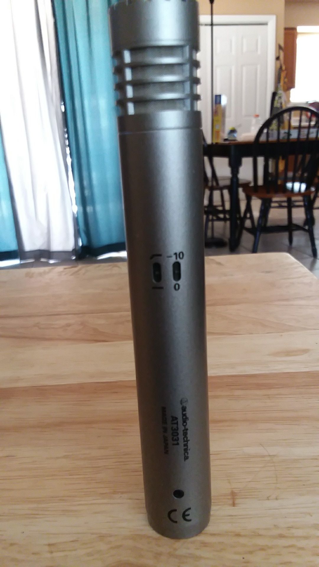 Audio-technica AT3031 Condenser microphone. Nothing wrong with it. Great for recording.