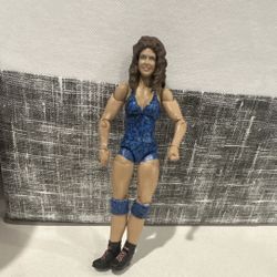 Wwe Wendi Richter Action Figure 