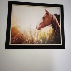 Horse Wall Decor