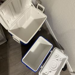 Coolers Coleman and IGLOO