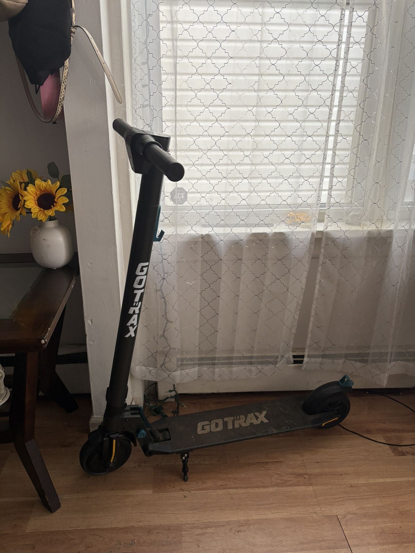 Electric Scooter Gotrax