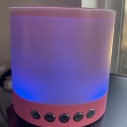 Portable Mini Speaker