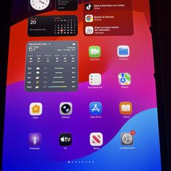 IPAD PRO M4 11” WIFI VERSION