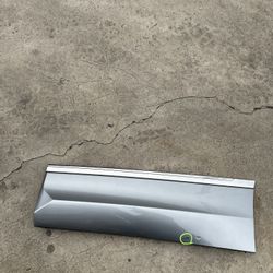 2019-2025 Volkswagen Tiguan R-Line Door Molding Trim Rear Left 