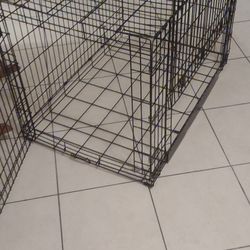 Dog Crate 