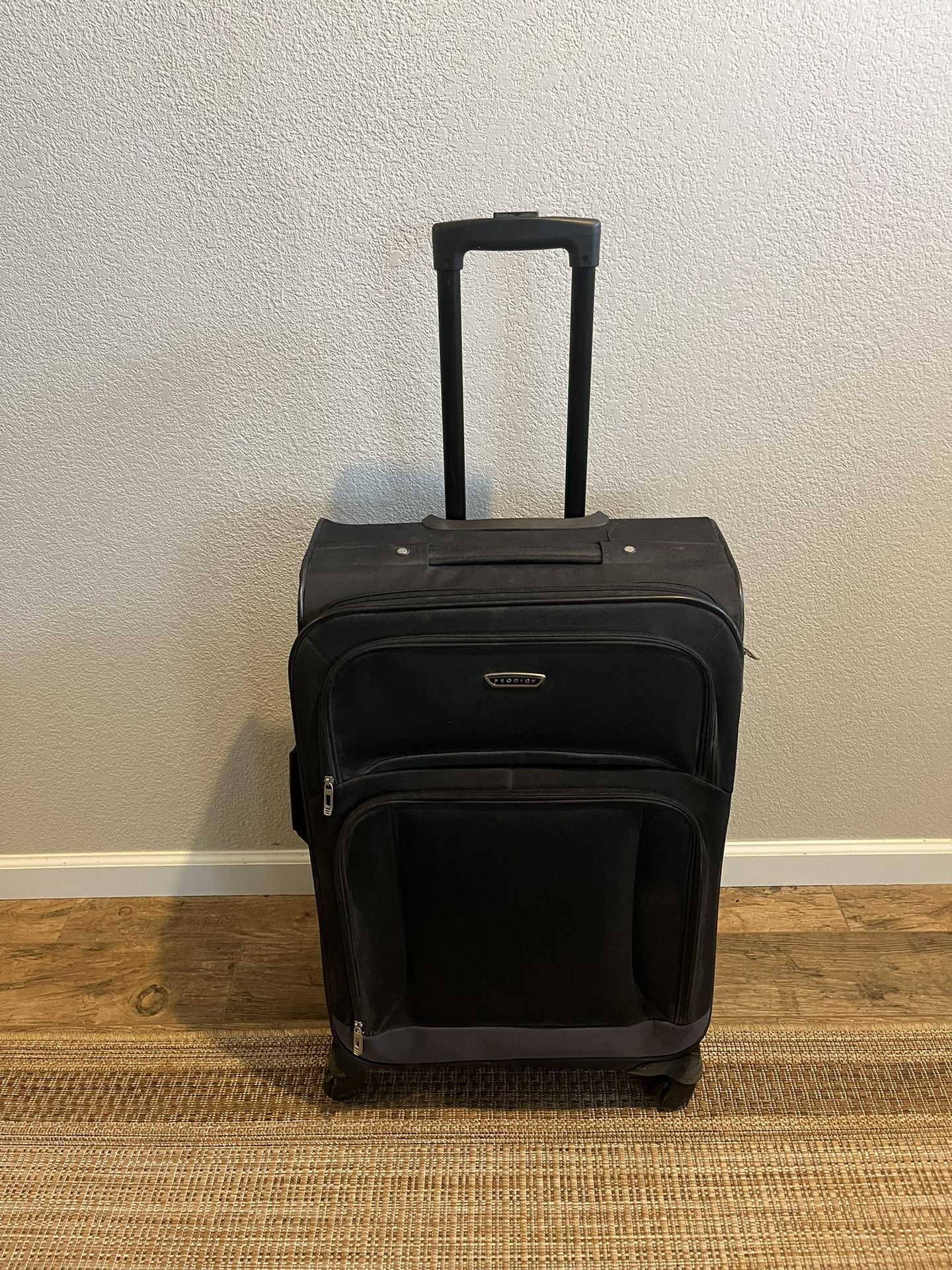 Checked Luggage Suitcase