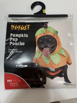 Pumpkin Dog Costume