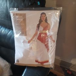 Costume Women Size Large 