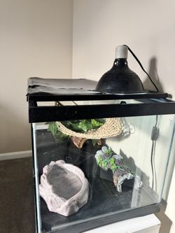 50 Gal. Terrarium With Heat Mat And Lamp And Decorative Pieces